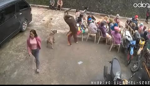 Animal cruelty case filed against Axle’s killer after third attempt