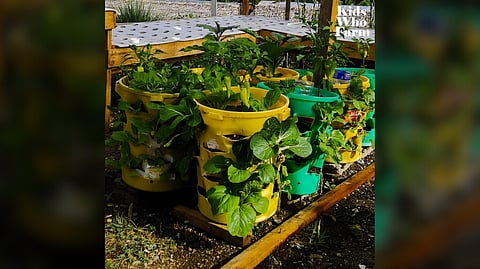 THE Gardenator allows multiple crops to grow in a compact footprint while recycling kitchen scraps into fertilizer.