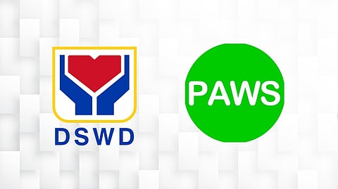 Animal assisted therapy gains high success rate