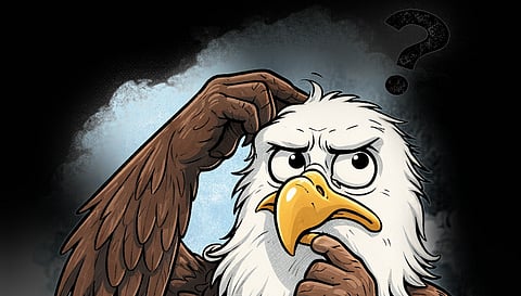 EXPERTS said it was more likely a Eurasian kestrel, a type of falcon.