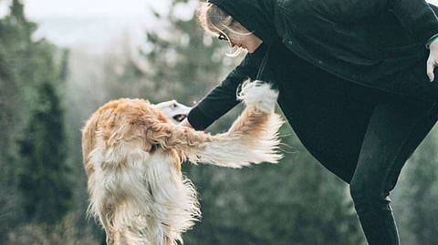 COMPASSION is only real when it turns into action.