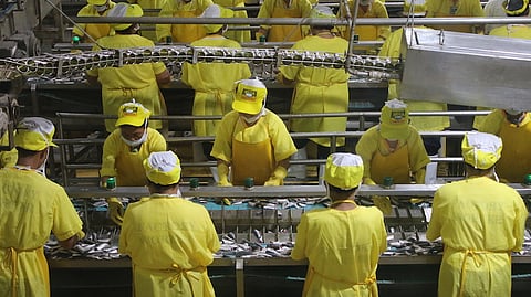 WORKERS at a sardine production plant in Zamboanga carefully load sardines into the cans. This, as the country’s Purchasing Managers’ Index improved in December 2025 to 50.2 from 47.4 in November, based on the latest report of S&P Global.