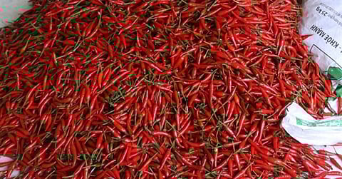 More chilis seen as key taming price spikes — DA