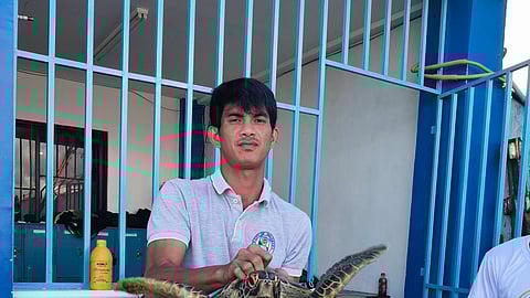 Tacloban fisherman rescues sea turtle caught in fishing net