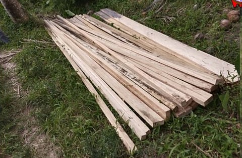 Some 203 board feet of Bagtikan species lumber were seized by authorities during an operation at Sitio Sta. Monica, Brgy. Dilaguidi in the town of Dilasag, Aurora on January 7, 2026.