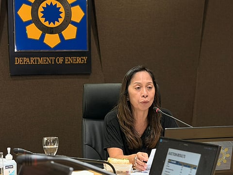 Energy Secretary Sharon S. Garin holds a media briefing on Tuesday to discuss the agency's plans to hit its national targets amid contract cancellations.