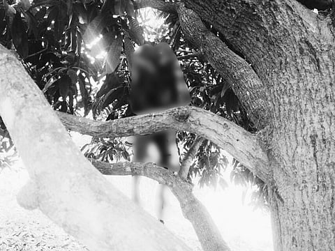 Man reported missing found hanging from tree in Ilocos Norte