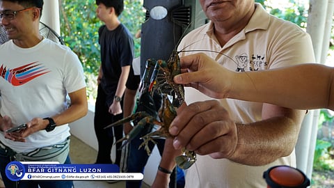 The Bureau of Fisheries and Aquatic Resources Regional Office 3 (BFAR 3) and the Villar Foundation held the Training on Culturing and Production of Catfish and Orientation on Crayfish at the Villar Sipag Farm School in the City of San Jose Del Monte, Bulacan on January 23, 2026.