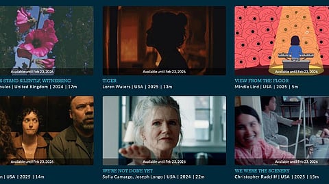 Watch Sundance short films online for free