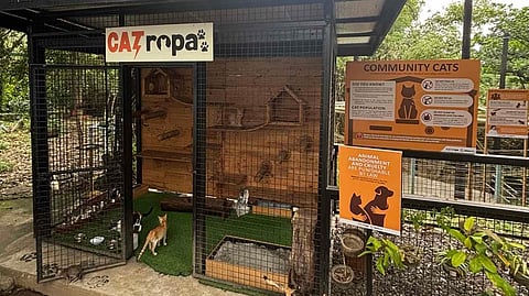 BUILT from recycled materials, the catio provides a safe and comfortable haven for Meralco’s community cats.