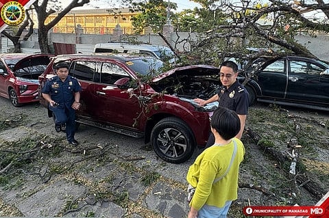 BIGLANG bumagsak ang Acacia tree sa blessing area ng Minor Basilica.