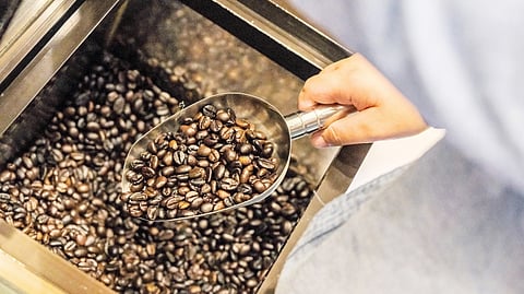 A COFFEE biofence helps protect a critical ecosystem while enabling indigenous families to build a sustainable source of income.