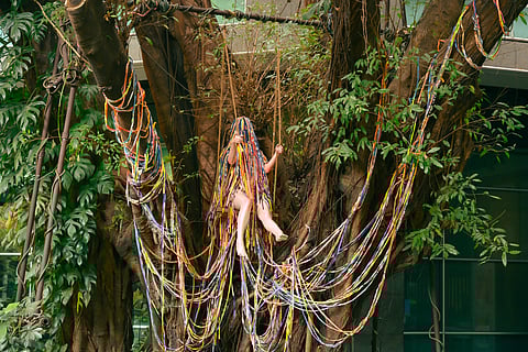 TEKLA Tamoria’s ‘AlterBibo.’