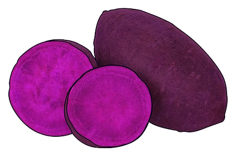 UBE (purple yam) is well loved staple in the Philippines.