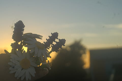 Oh... and this is what love looks like