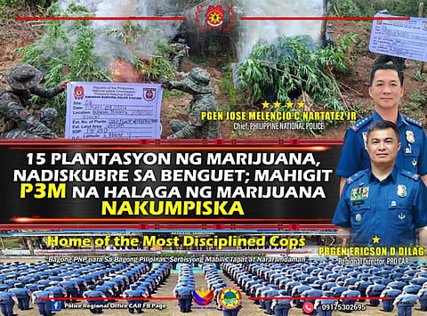Police destroy P3.4M worth of marijuana plants in Benguet