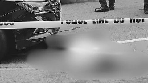 LIGHT Rail Manila Corporation confirms fatal incident at LRT-1 Fernando Poe Jr. station.