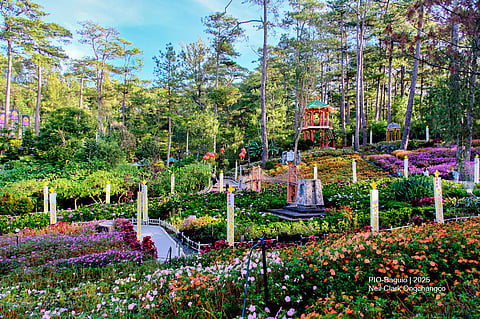 THE six-month free access period for residents of Baguio and neighboring Benguet municipalities has expired, requiring them to pay entrance fees.