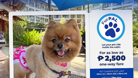 PAL expands FURpal to all domestic flights