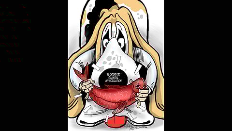 Red herring conspiracy