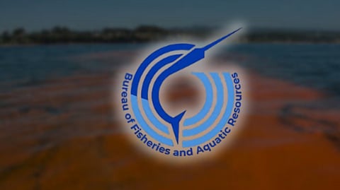 Pangasinan coastal waters cleared
of toxic red tide