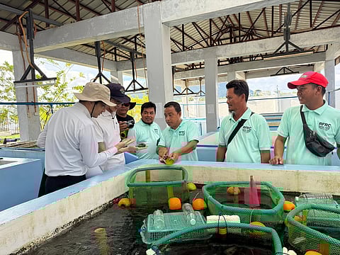 Photograph courtesy of embassy of japan