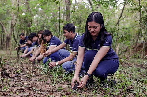 MAYNILAD Water Services plants nearly 186,000 seedlings across Metro Manila watersheds.