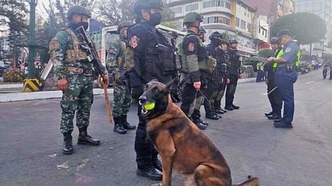 READY at a whiff Canine may not stand before his superiors, but he is alert to any signal, swift to respond. A four-legged officer stays close to his handlers as they secure preparations for Panagbenga.