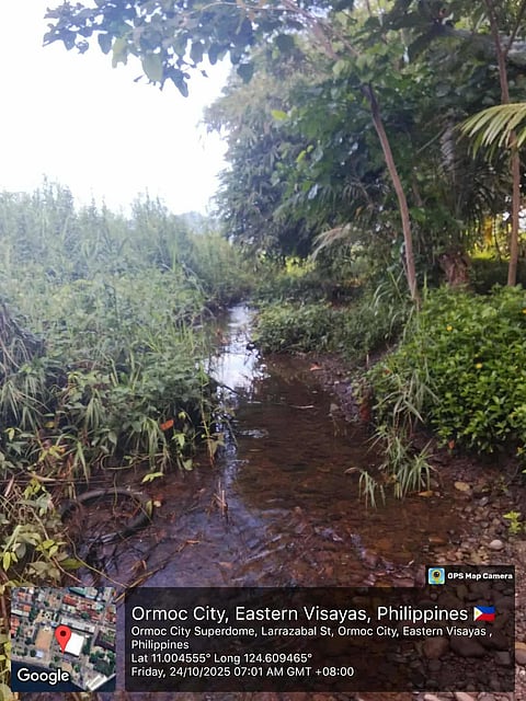 WHAT should have been a P48.84 million San Antonio flood control in Ormoc City is nothing but a narrow, shallow creek overtaken by grass and shrubs.