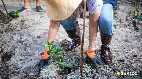 THE event saw an incredible turnout of leaders and environment advocates.