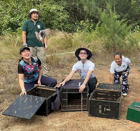 Return to Nature — Conservation workers release 14 recovered wild birds into their natural habitat at the Bantayan Release Site in Barangay Semirara, reinforcing ongoing initiatives to protect wildlife and preserve ecosystems.