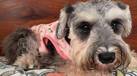 COMFORT first: Sleeveless is cool.