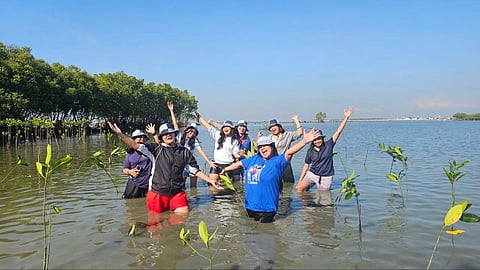 FRIENDS of Miss Cosmo 2025 runner-up Chelsea Fernandez (left) during their mangrove planting in Barangay Pamarawan, Malolos City, Bulacan on 28 February 2026. The beauty queen has been an advocate of reforestation since 2019.