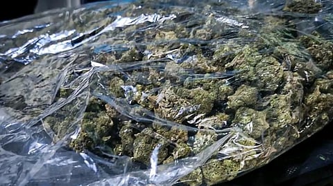 P640-M marijuana seized