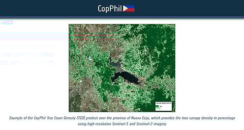 Example of the CoPhil Tree Cover Density (TCD) product over the province of Nueva Ecija, which provides the tree canopy density in percentage using high-resolution Sentinel-1 and Sentinel-2 imagery.