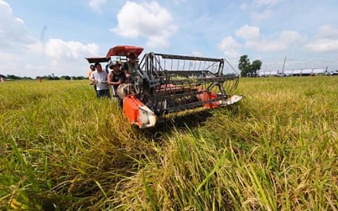 Fuel surge hits transport, farm workers