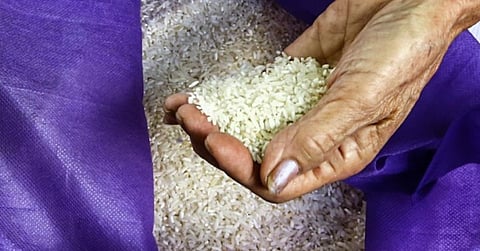 DA fines suppliers P81M over delayed projects