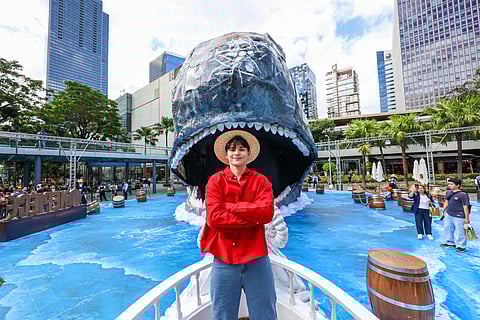 ALLAN Ansay as Monkey D. Luffy.