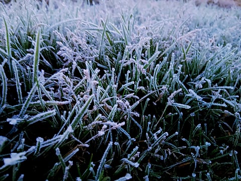 Cold spell has Baguio freezing