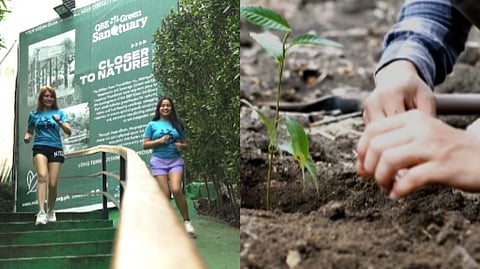 ONE tree will be planted for each runner participating in the fun run.