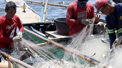 Fuel aid cushions fisherfolk against oil surge