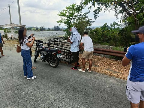 SLI target arrested in Solsona buy-bust operation