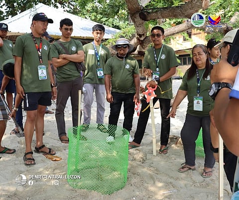 DENR strengthens marine turtle protection efforts in Zambales