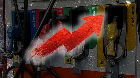 Rising fuel costs drive up Palm Sunday frond prices