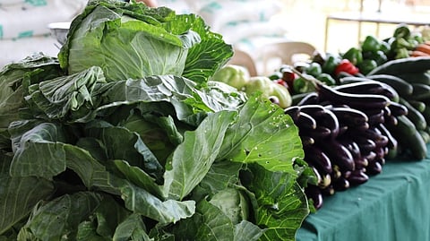 DA deploys trucks for excess vegetables