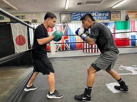 MARK Magsayo reviews his fight plan against Feargal McCrory with lead trainer Marvin Somodio on Tuesday at the Wild Card Boxing Club in Hollywood.