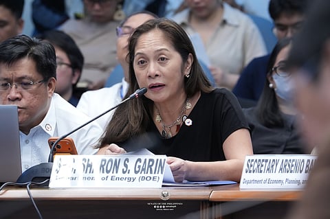 Energy Chief Sharon Garin during the third public hearing of the Senate PROTECT Committee on Monday, 13 April.