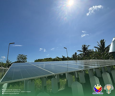 Solar-powered irrigation aids drought-hit Leyte farmers