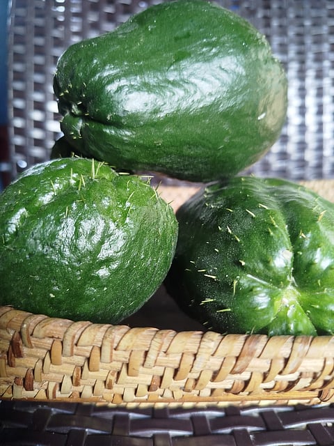 Photo by Aldwin Quitasol