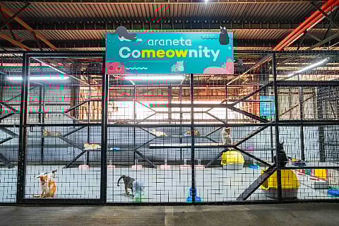 Araneta City launches ‘CoMEOWnity’ for stray cat welfare